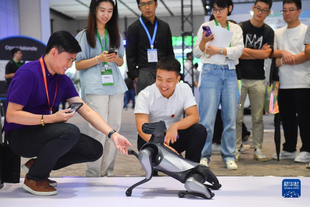 3d捕鱼达人